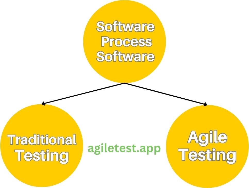 Software Process Software Relationship