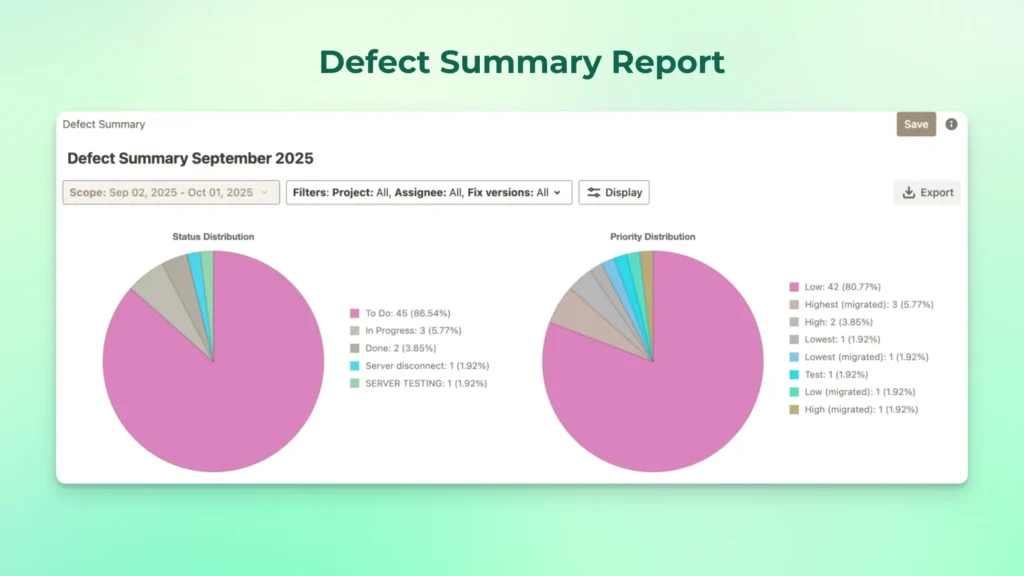 Defect Summary Report
